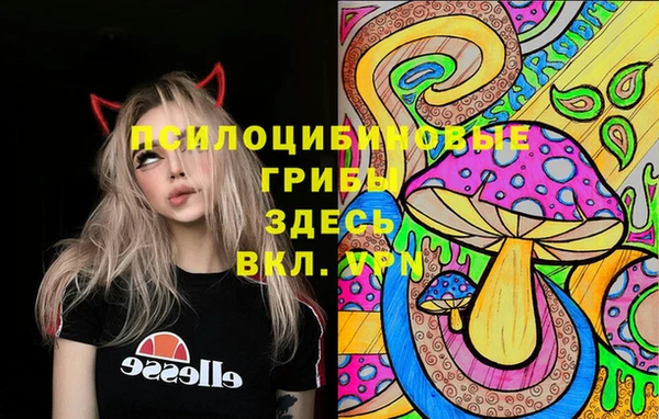 ГАЛЛЮЦИНОГЕННЫЕ ГРИБЫ Магадан