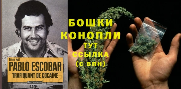 COCAINE Майский