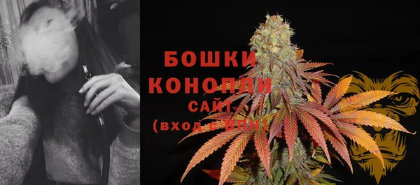ГАЛЛЮЦИНОГЕННЫЕ ГРИБЫ Магадан