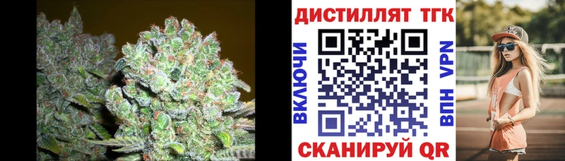 OMG ТОР  Шилка  ТГК концентрат  купить  цена 