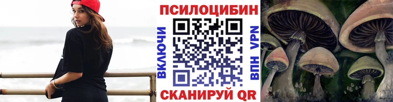 Псилоцибиновые грибы Magic Shrooms  МЕГА зеркало  Шилка 